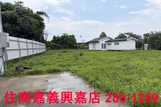 大林農地-4