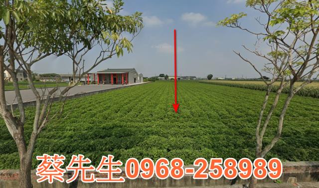 土庫新生街農舍地興建農舍種植農作物