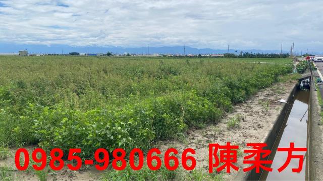 嘉義農地-13