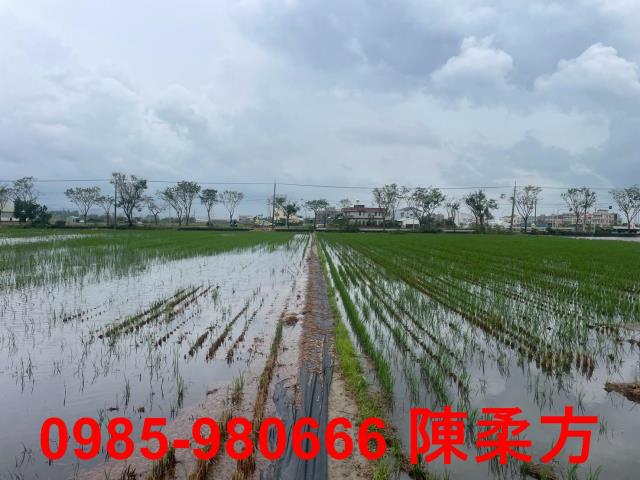 台南農地-12