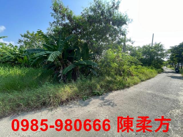 嘉義農地-3