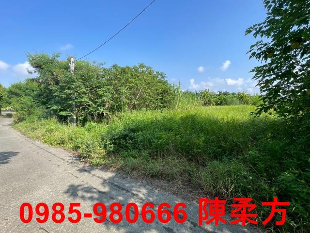 嘉義農地-6