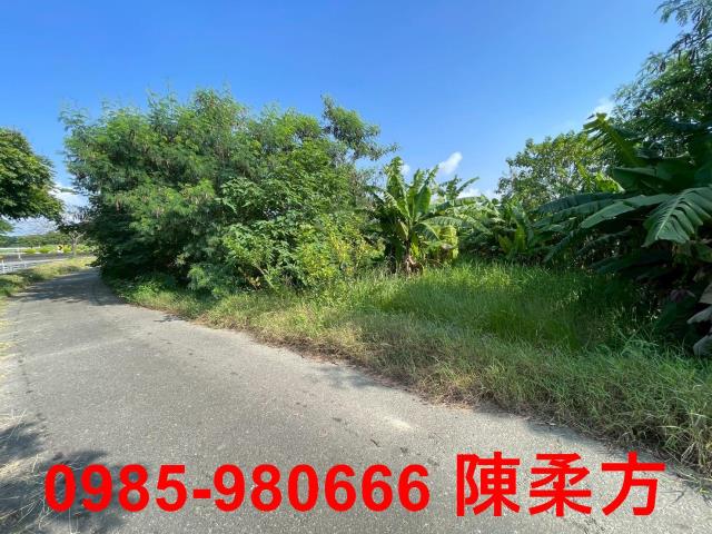 嘉義農地-7