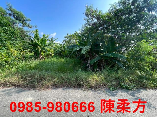 嘉義農地-8