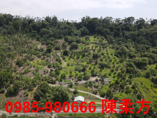嘉義農地-9