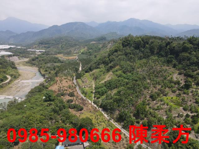 嘉義農地-10