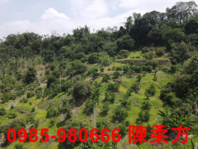 嘉義農地-11