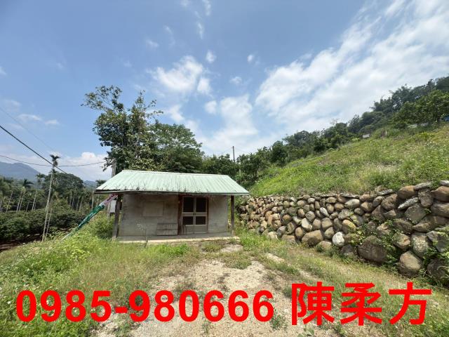 嘉義農地-12