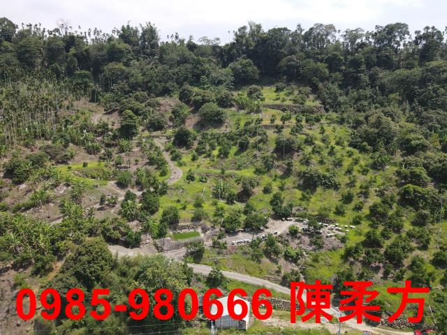 嘉義農地-4