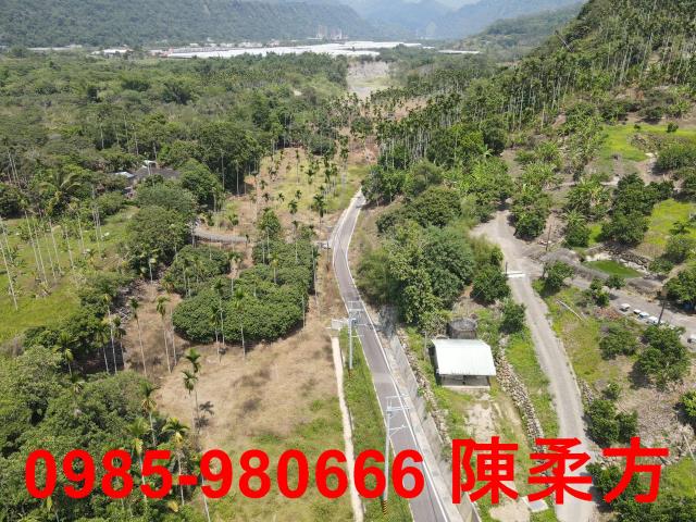 嘉義農地-8