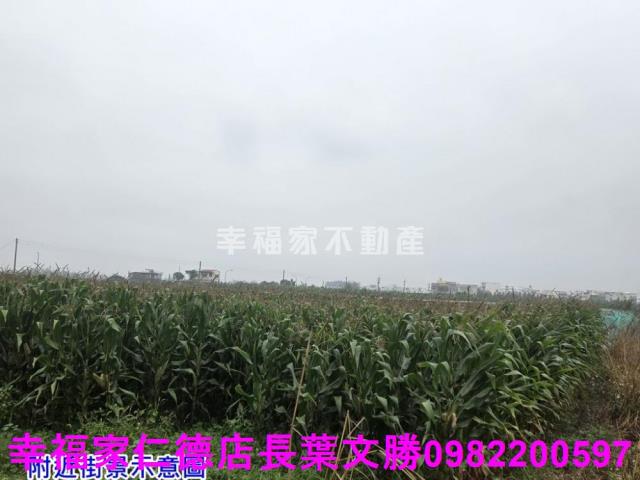 台南農地-11