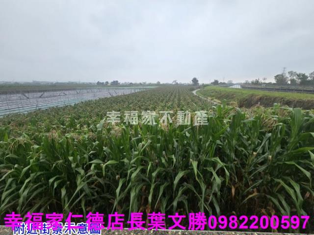 台南農地-13