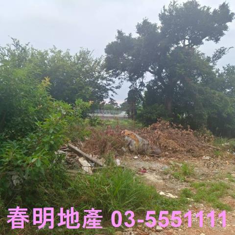 新竹農地-5