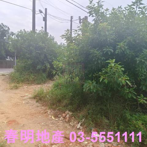 新竹農地-6