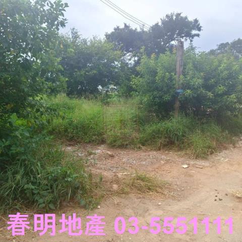 新竹農地-7