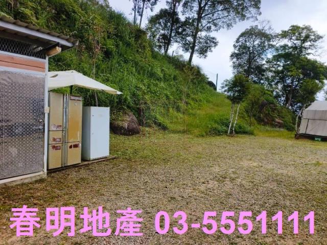 新竹尖石林地-3