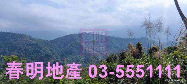 新竹尖石林地-8