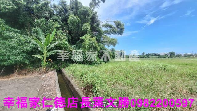 台南西港農地-7