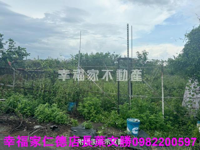 台南西港農地-11