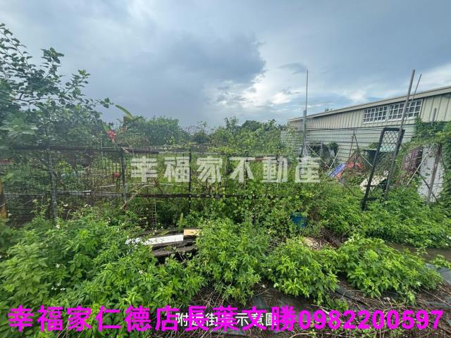 台南西港農地-12