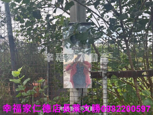 台南西港農地-1