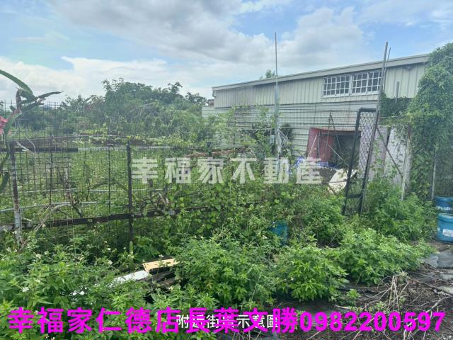 台南西港農地-2