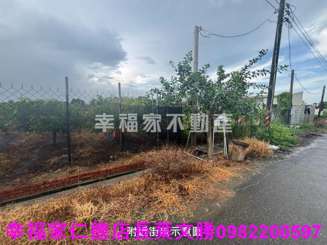 台南西港農地-3