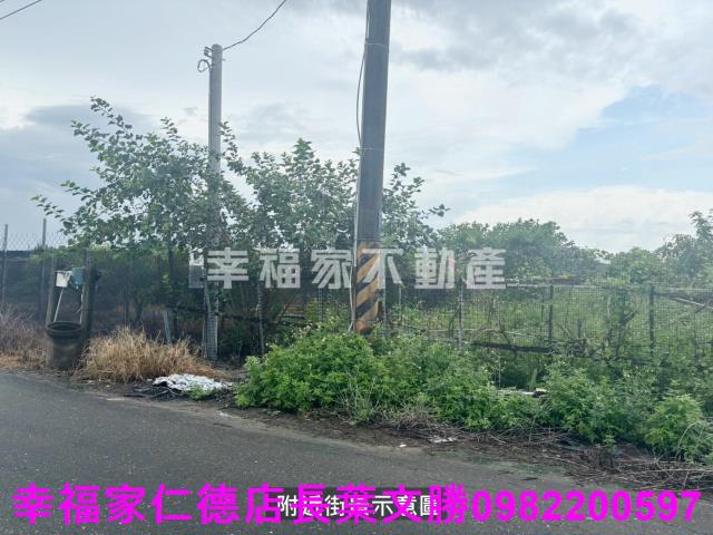 台南西港農地-8