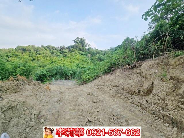 玉井農地-8