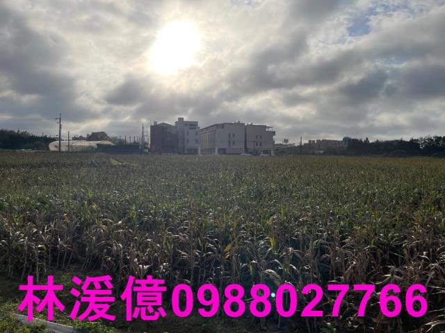 觀音農地-0