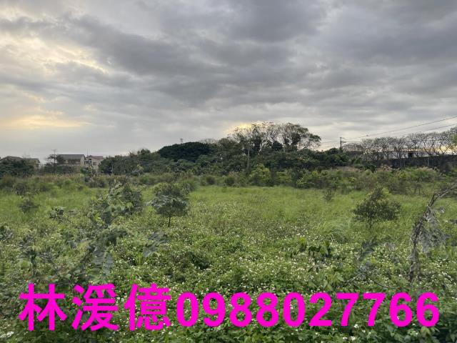 觀音農地-2