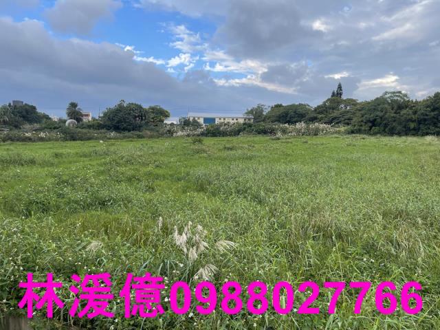 楊梅農地-1