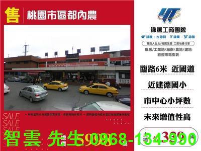 桃園區農地-0