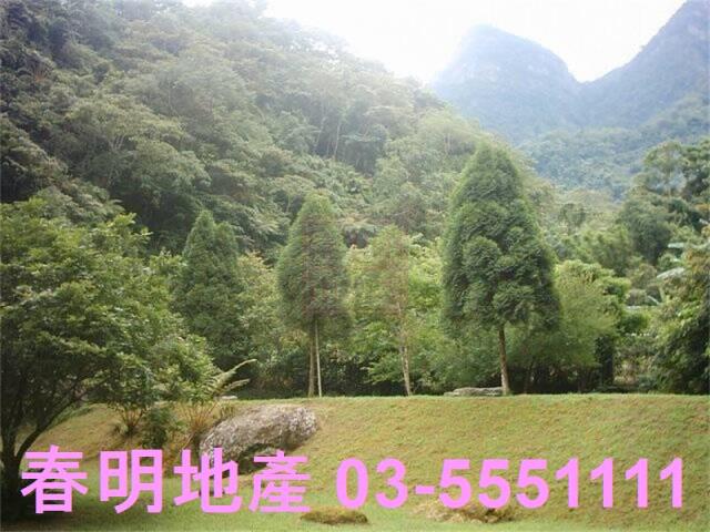 竹東農地-0