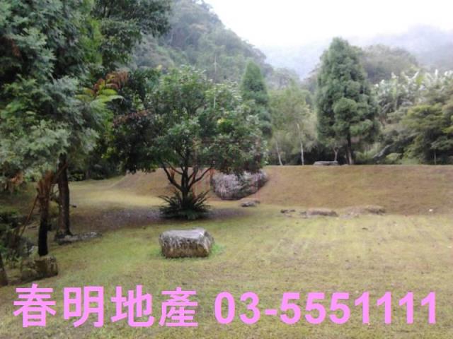 竹東農地-4