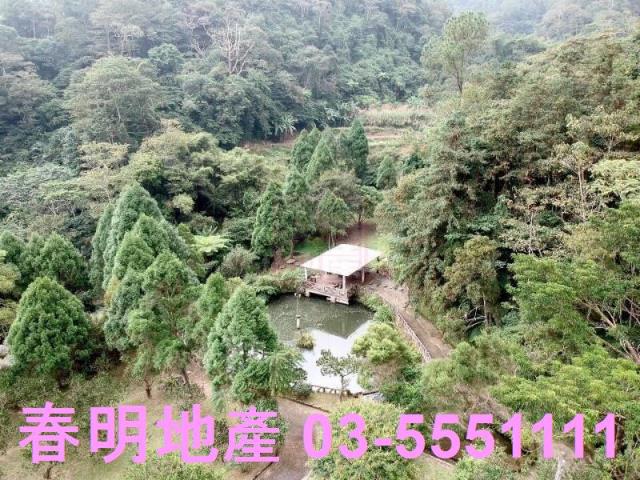 竹東農地-5