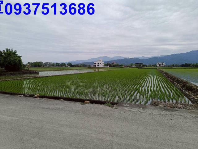 宜蘭農地-14