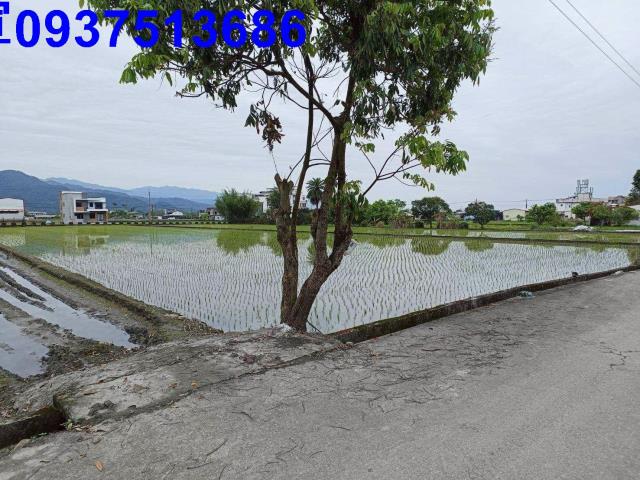 宜蘭農地-1