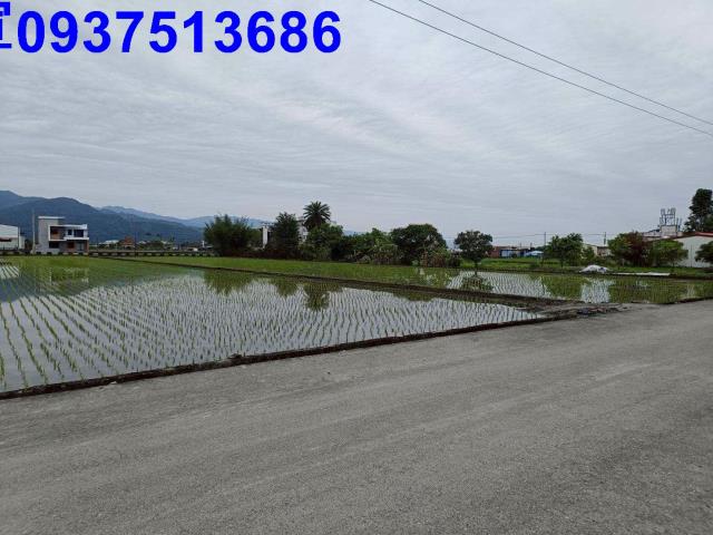 宜蘭農地-3