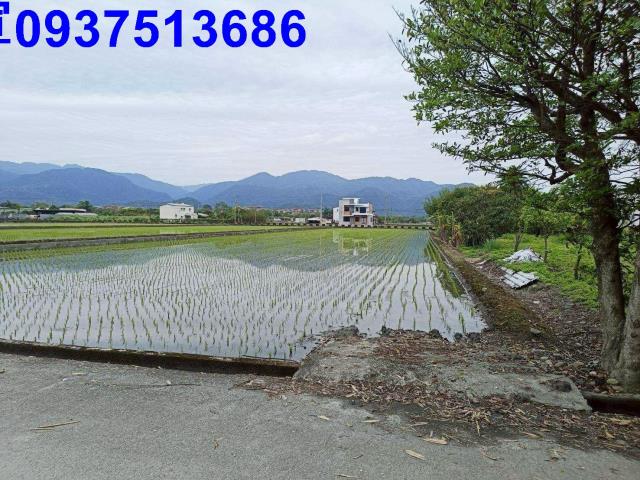 宜蘭農地-7