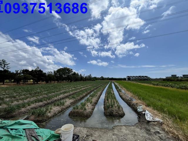 宜蘭農地-3