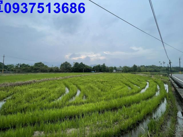 宜蘭農地-9