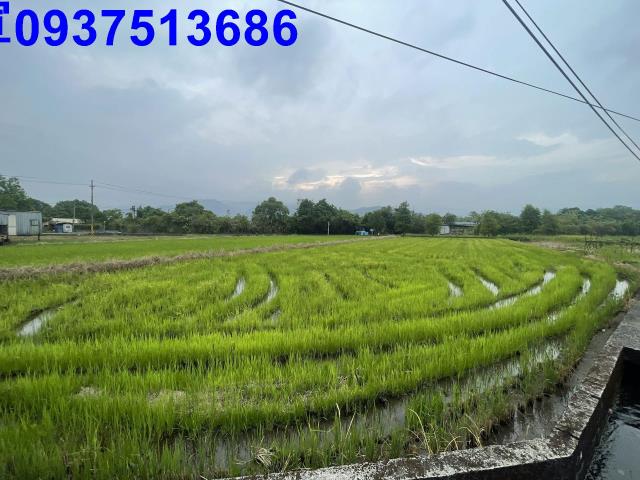 宜蘭農地-11