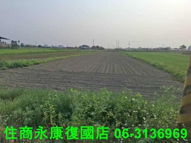 台南農地-4