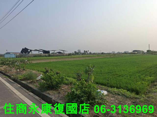 台南農地-6