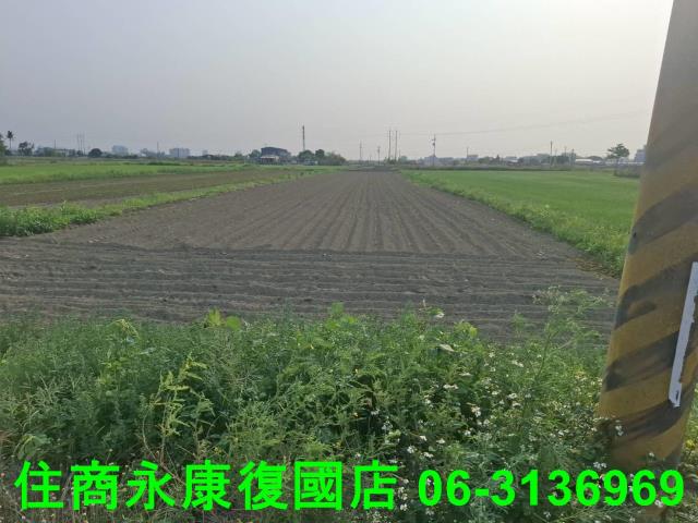 台南農地-8