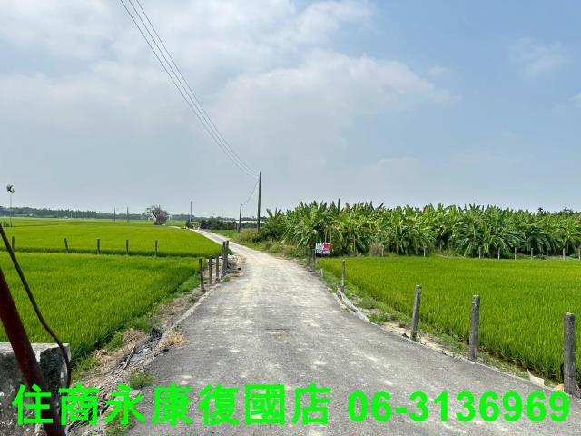 屏東農地-9