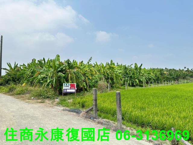屏東農地-10