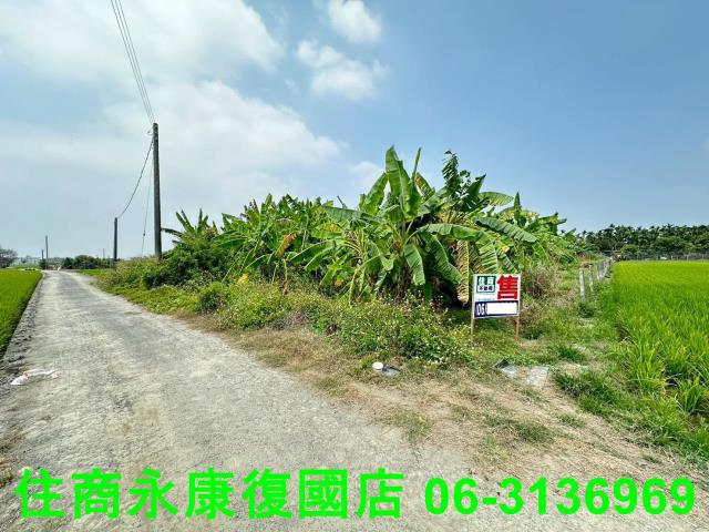 屏東農地-11