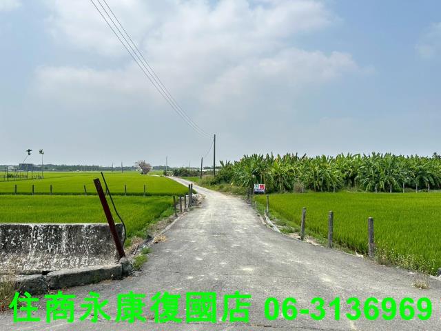 屏東農地-12
